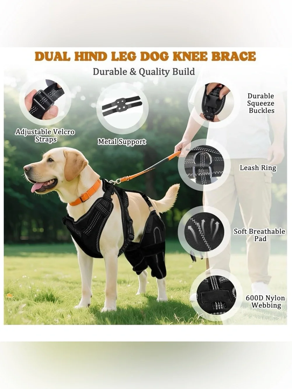 Arvion Dog Knee Braces for Back Legs - Black Hip & Joint Compression Wrap